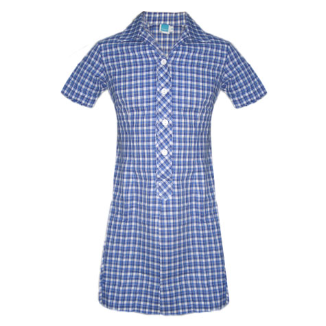 Traditional Style With Designated Blue & White Check Fabric